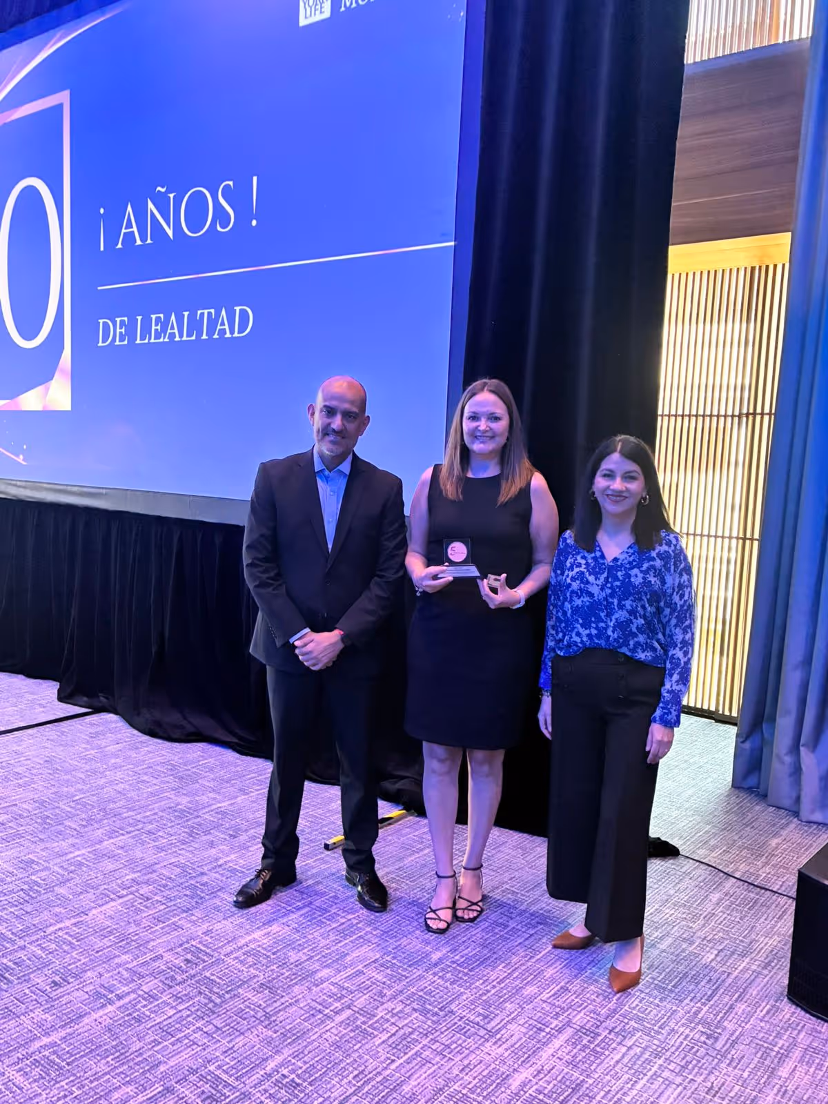 Galería Gallery - Imagen 15